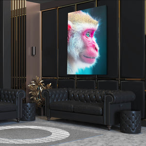 Monkey Artwork