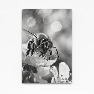 Monochrome Bee Art | MusaArtGallery™