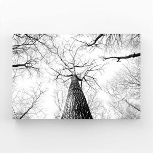 Monochrome Elegance Tree Art | MusaArtGallery™