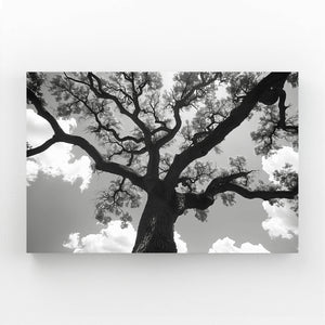 Monochrome Majesty Tree Art | MusaArtGallery™