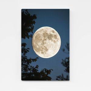  Moon Night Canvas Art  | MusaArtGallery™