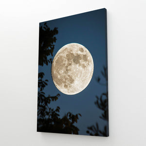  Moon Night Canvas Art  | MusaArtGallery™