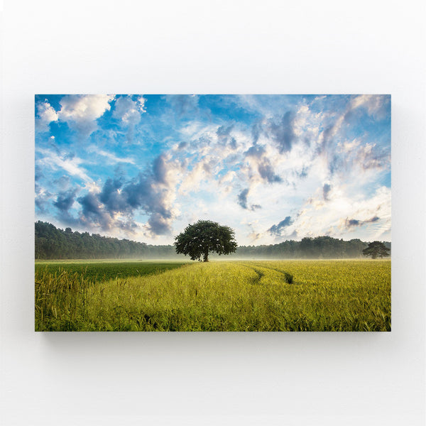 Morning Field Tree Art | MusaArtGallery™