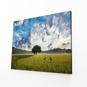 Morning Field Tree Art | MusaArtGallery™