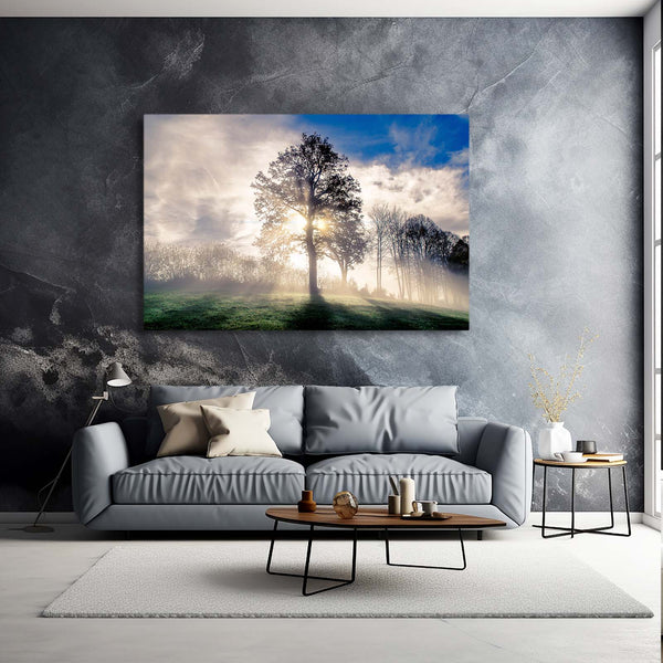 Morning Light Tree Art | MusaArtGallery™