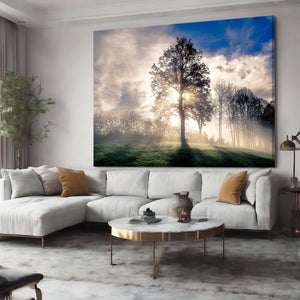 Morning Light Tree Art | MusaArtGallery™