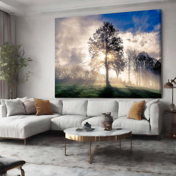 Morning Light Tree Art | MusaArtGallery™