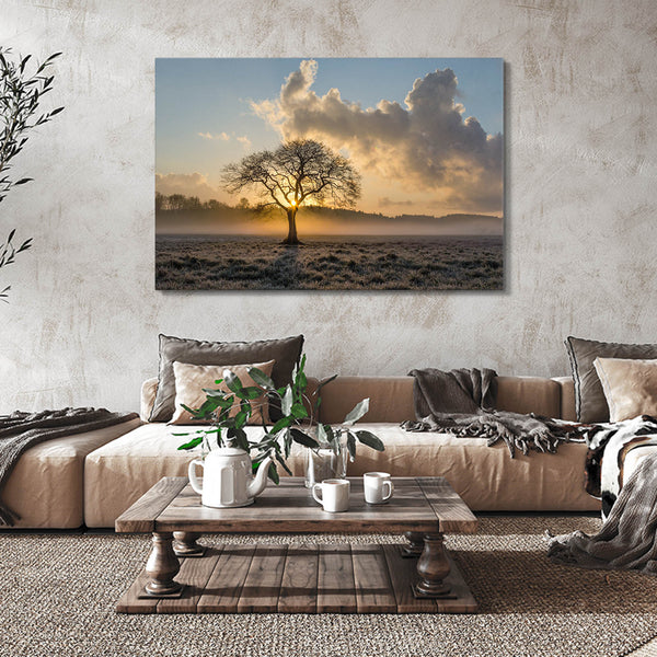 Morning Sunset Art  | MusaArtGallery™