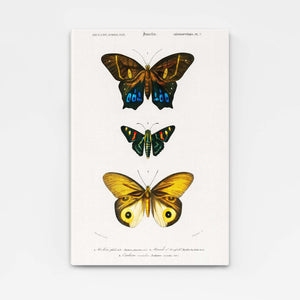 Mosaic Canvas Butterfly Wall Art | MusaArtGallery™