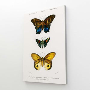 Mosaic Canvas Butterfly Wall Art | MusaArtGallery™