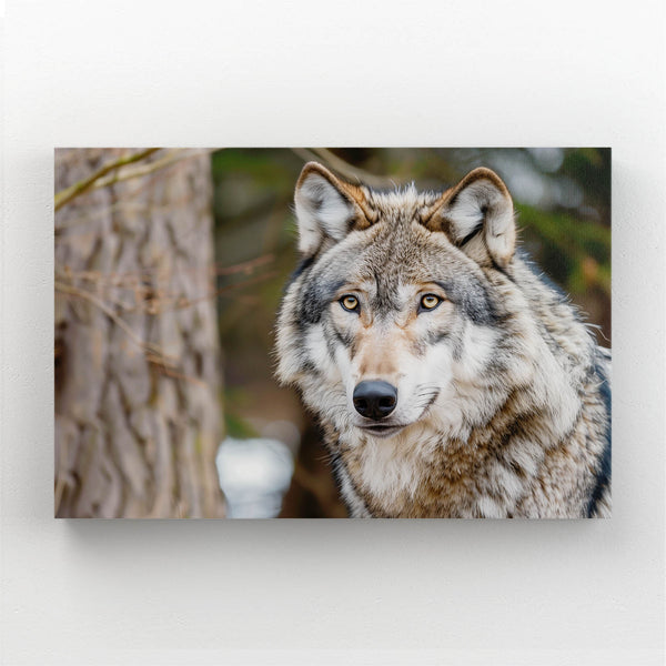 Mr. Wolf Art | MusaArtGallery™