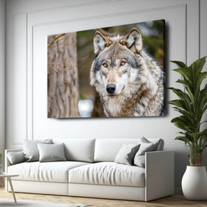 Mr. Wolf Art | MusaArtGallery™