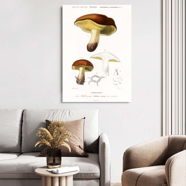 Mushroom Graffiti Art | MusaArtGallery™