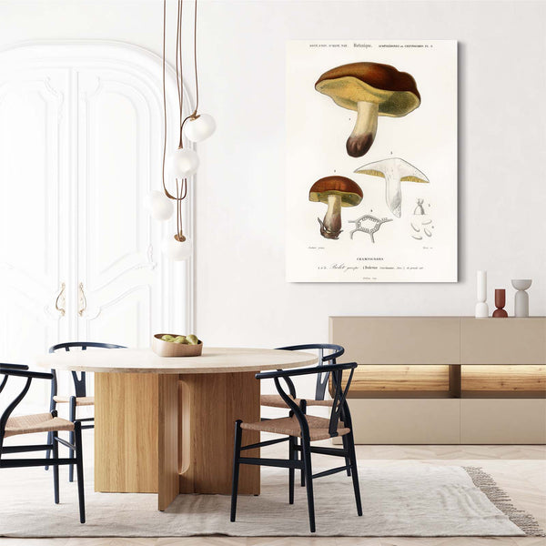 Mushroom Graffiti Art | MusaArtGallery™