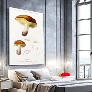 Mushroom Graffiti Art | MusaArtGallery™