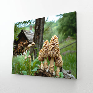 Mushroom Jungle Art Decor | MusaArtGallery™