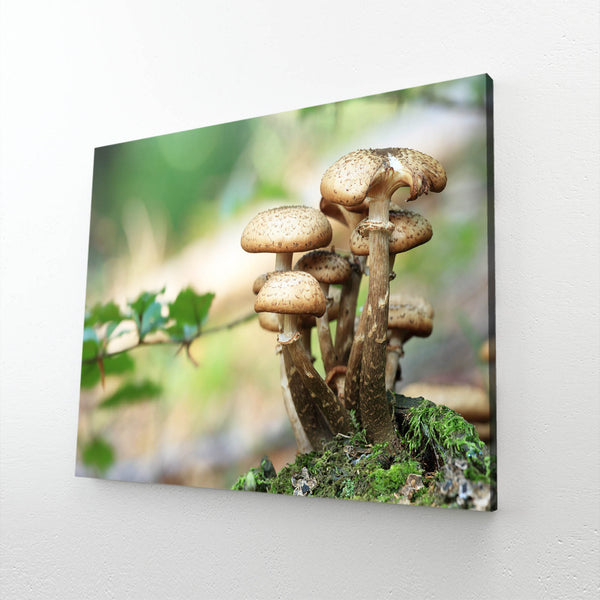 Mushroom Trippy Art | MusaArtGallery™