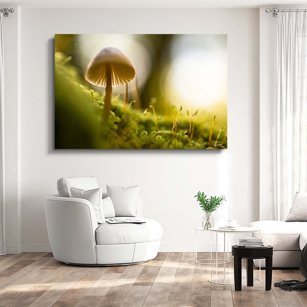 Mushrooms Art | MusaArtGallery™