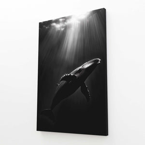 Mystic Whale Art | MusaArtGallery™