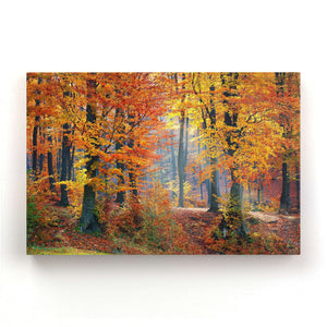 Natural Color Wall Art | MusaArtGallery™