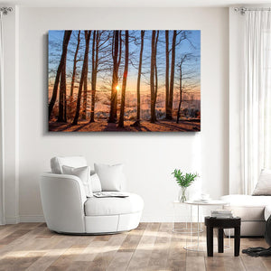 Natural Driftwood Wall Art | MusaArtGallery™