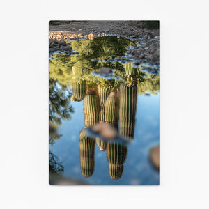 Nature Cactus Art