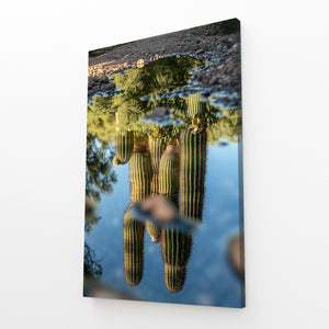 Nature Cactus Art