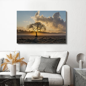 Nature Canvas Pictures | MusaArtGallery™
