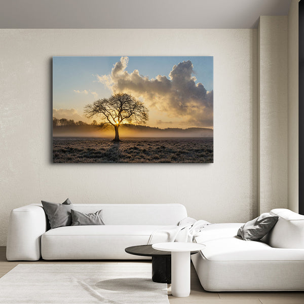 Nature Canvas Pictures | MusaArtGallery™