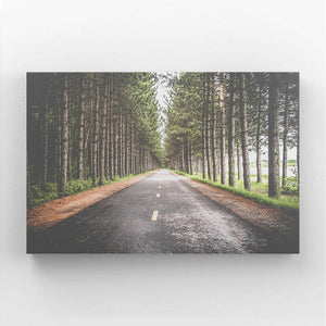 Nature Forest Road prints | MusaArtGallery™