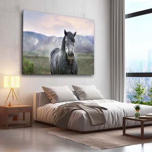 Nature Horse Art
