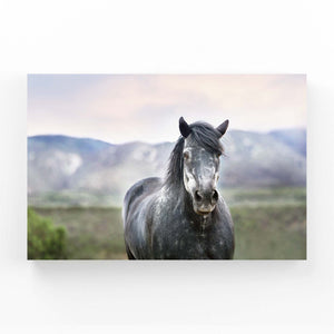 Nature Horse Art