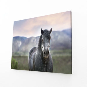 Nature Horse Art