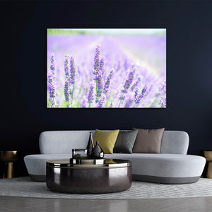 Nature Photo Wall Art | MusaArtGallery™