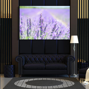 Nature Photo Wall Art | MusaArtGallery™