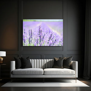 Nature Photo Wall Art | MusaArtGallery™