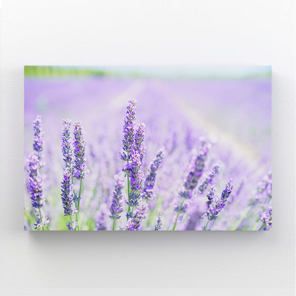 Nature Photo Wall Art | MusaArtGallery™