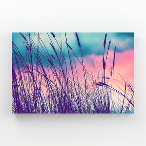 Nature Photography Art Prints