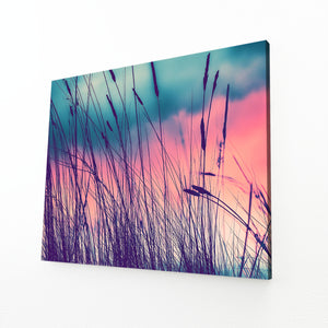 Nature Photography Art Prints