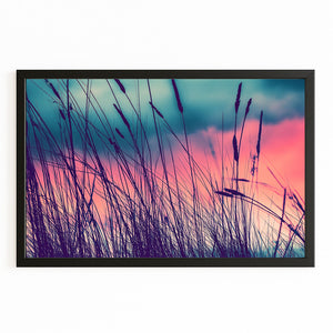 Nature Photography Art Prints