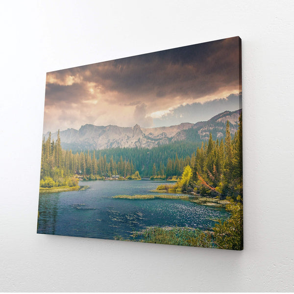 Nature Pictures Wall Art | MusaArtGallery™