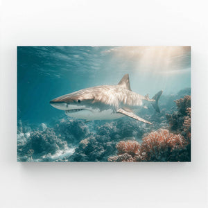 Nature Shark Canvas