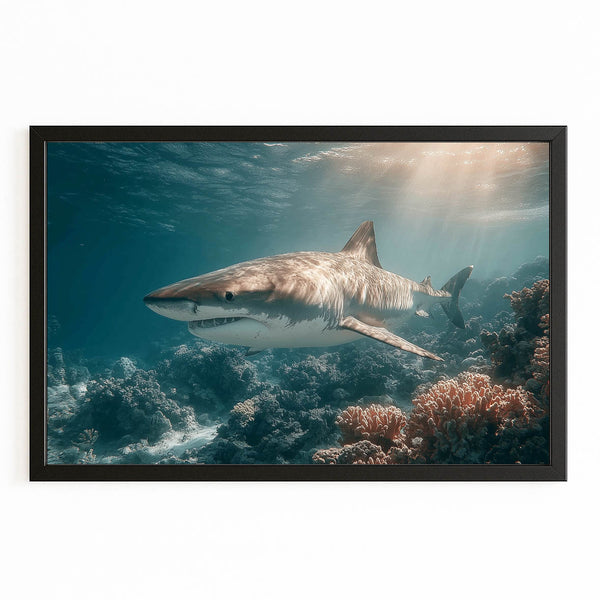 Nature Shark Canvas