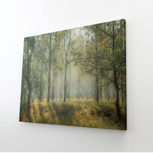 Nature Themed Wall Art | MusaArtGallery™