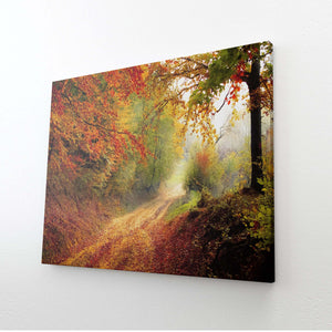 Nature Wall Art Amazon | MusaArtGallery™