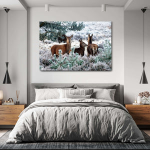 Nature Wall Art For Bedroom | MusaArtGallery™
