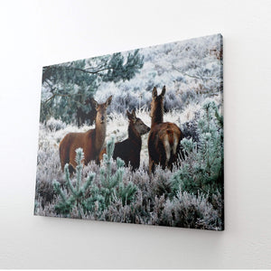 Nature Wall Art For Bedroom | MusaArtGallery™