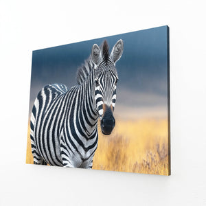 Nature Zebra Wall Art