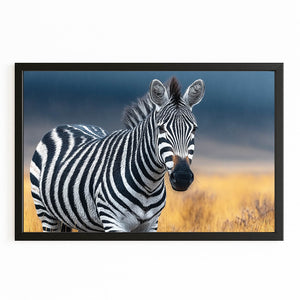 Nature Zebra Wall Art