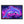 Neon Purple Dolphin Art